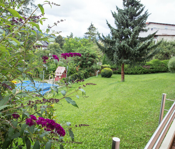 Die Gartenanlage mit einer schönen Wiese, Sträuchern und Bäumen laden zum Wohlfühlen ein.