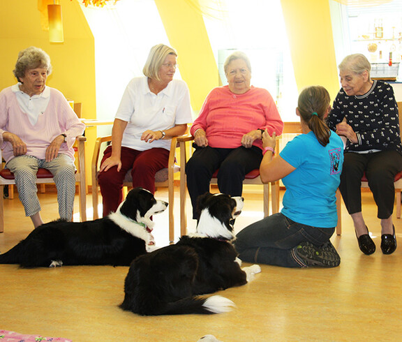 Tiertherapie zum Kennenlernen beim Tag der offenen Tür im Haus St. Klemens