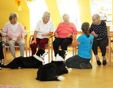 Tiertherapie zum Kennenlernen beim Tag der offenen Tür im Haus St. Klemens