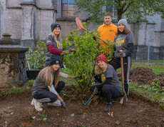 424 - Naschen im Garten - 72h ohne Kompromiss 2021