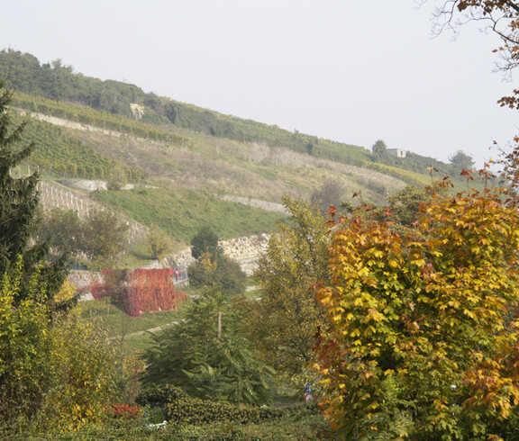 Umgebung des Haus St. Leopold