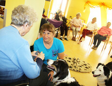 Tiertherapie zum Kennenlernen beim Tag der offenen Tür im Haus St. Klemens