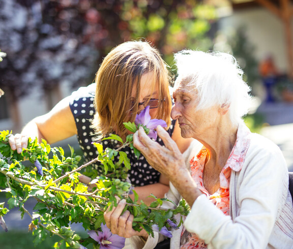 Eine junge Frau und eine ältere Dame riechen an einer Blume des Eibisch-Strauches im Garten.