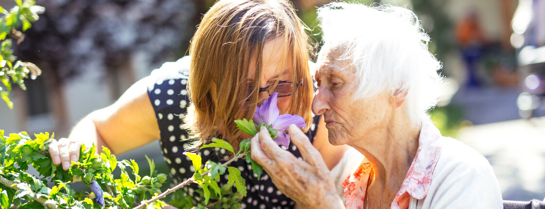 Eine junge Frau und eine ältere Dame riechen an einer Blume des Eibisch-Strauches im Garten.