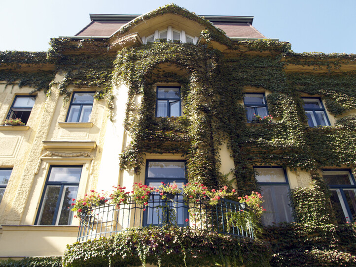 Haus Schönbrunn von außen